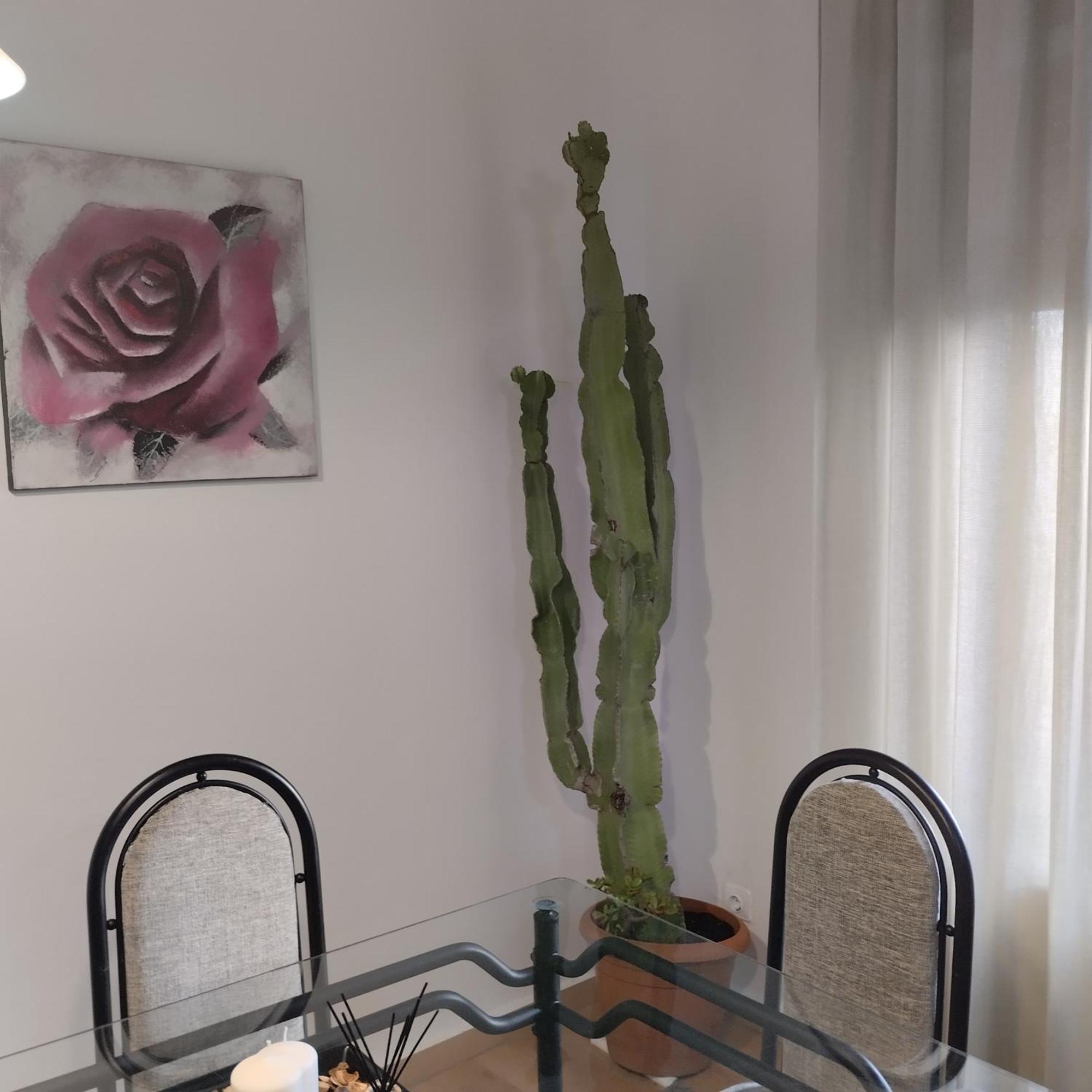 Apartamento Esperanza De La Yedra Jerez de la Frontera Bagian luar foto